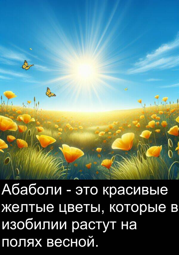 полях: Абаболи - это красивые желтые цветы, которые в изобилии растут на полях весной.