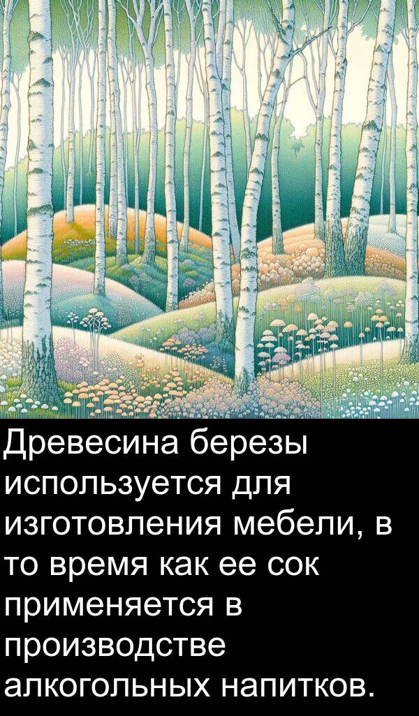 применяется: Древесина березы используется для изготовления мебели, в то время как ее сок применяется в производстве алкогольных напитков.
