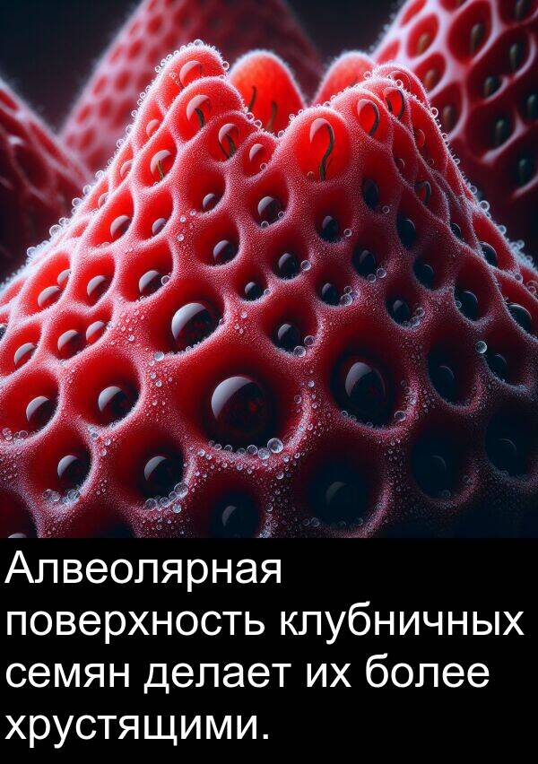 клубничных: Алвеолярная поверхность клубничных семян делает их более хрустящими.