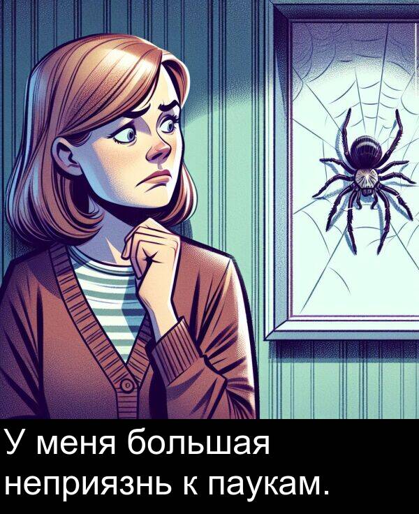 неприязнь: У меня большая неприязнь к паукам.