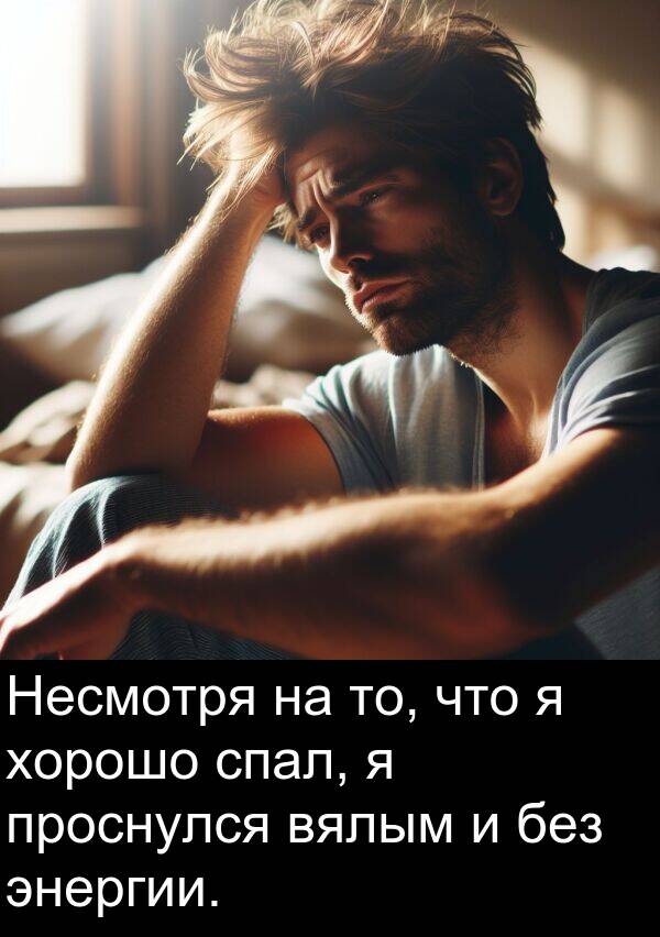 проснулся: Несмотря на то, что я хорошо спал, я проснулся вялым и без энергии.