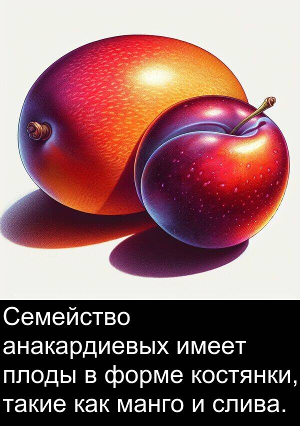 костянки: Семейство анакардиевых имеет плоды в форме костянки, такие как манго и слива.