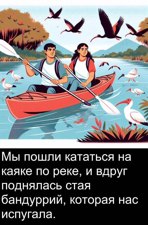 пошли: Мы пошли кататься на каяке по реке, и вдруг поднялась стая бандуррий, которая нас испугала.