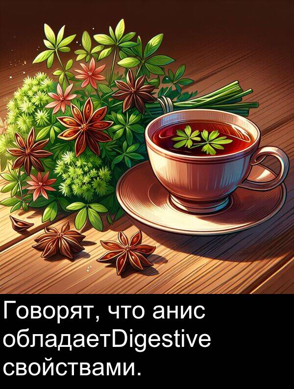 свойствами: Говорят, что анис обладаетDigestive свойствами.