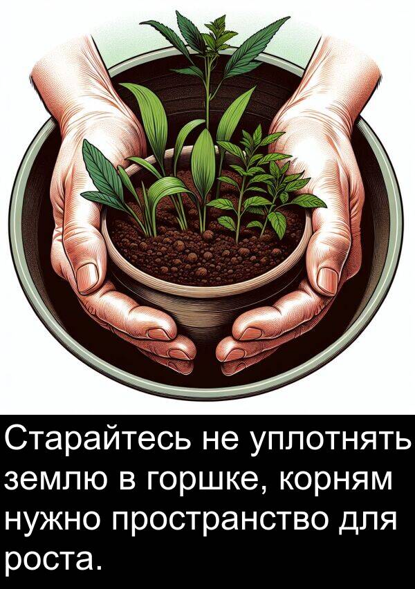 пространство: Старайтесь не уплотнять землю в горшке, корням нужно пространство для роста.