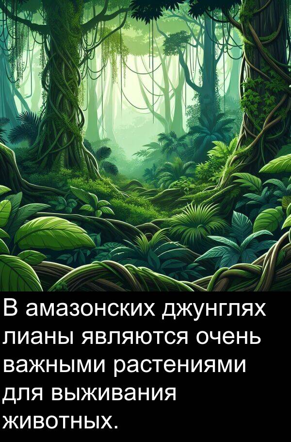 выживания: В амазонских джунглях лианы являются очень важными растениями для выживания животных.