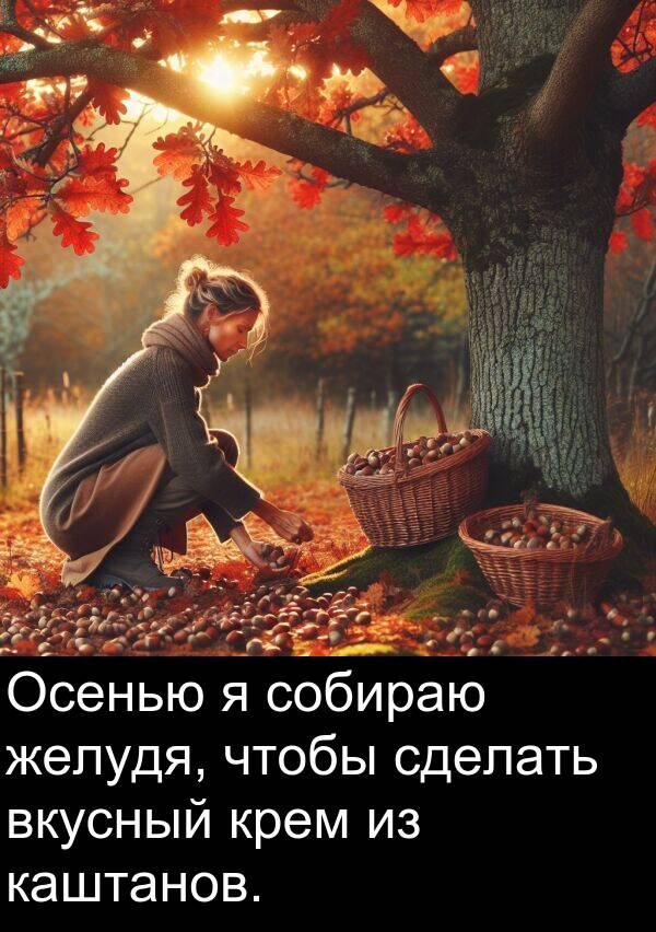 крем: Осенью я собираю желудя, чтобы сделать вкусный крем из каштанов.