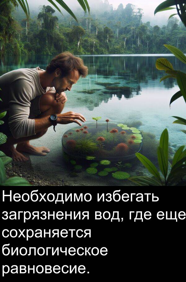 сохраняется: Необходимо избегать загрязнения вод, где еще сохраняется биологическое равновесие.