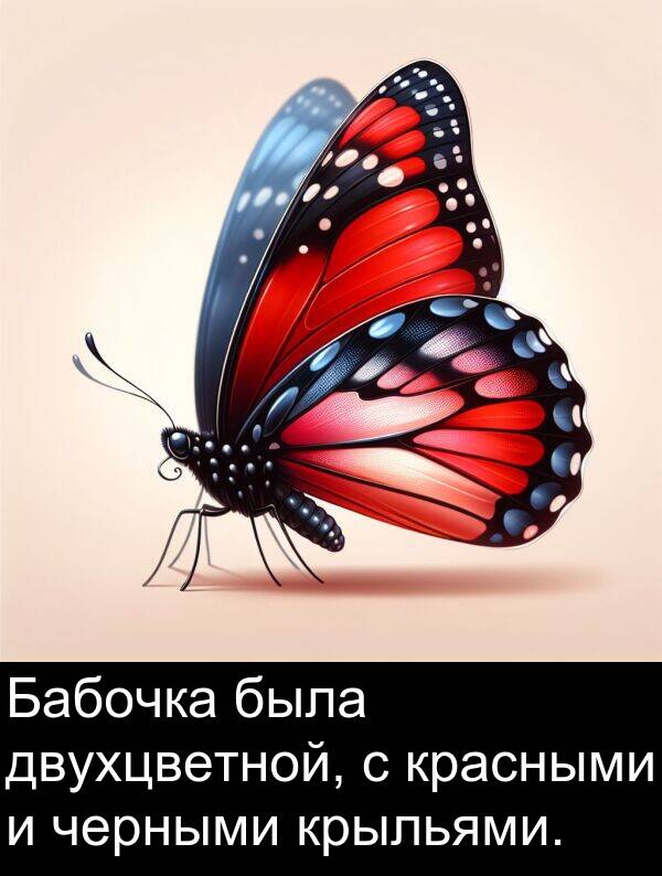красными: Бабочка была двухцветной, с красными и черными крыльями.