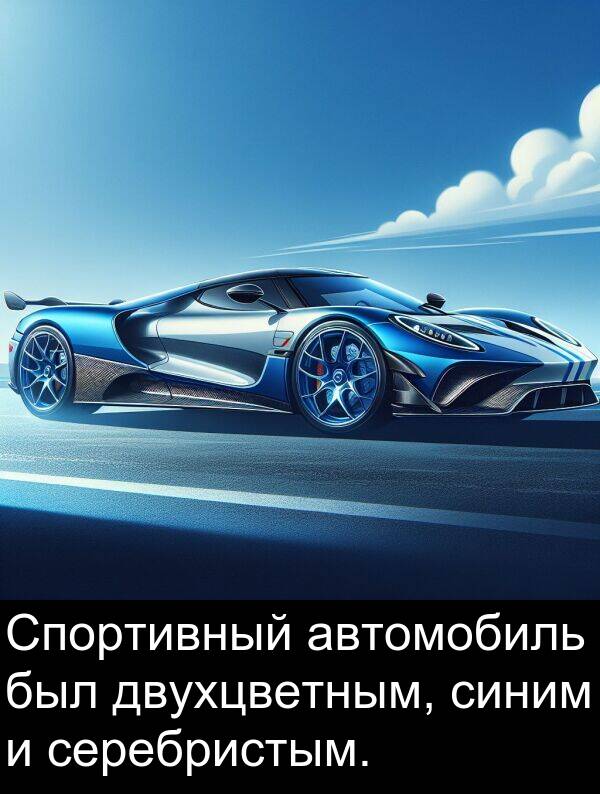 автомобиль: Спортивный автомобиль был двухцветным, синим и серебристым.