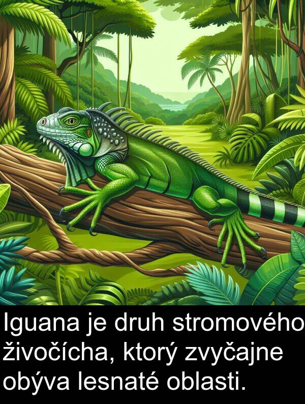 lesnaté: Iguana je druh stromového živočícha, ktorý zvyčajne obýva lesnaté oblasti.