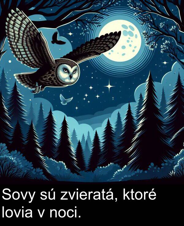 noci: Sovy sú zvieratá, ktoré lovia v noci.