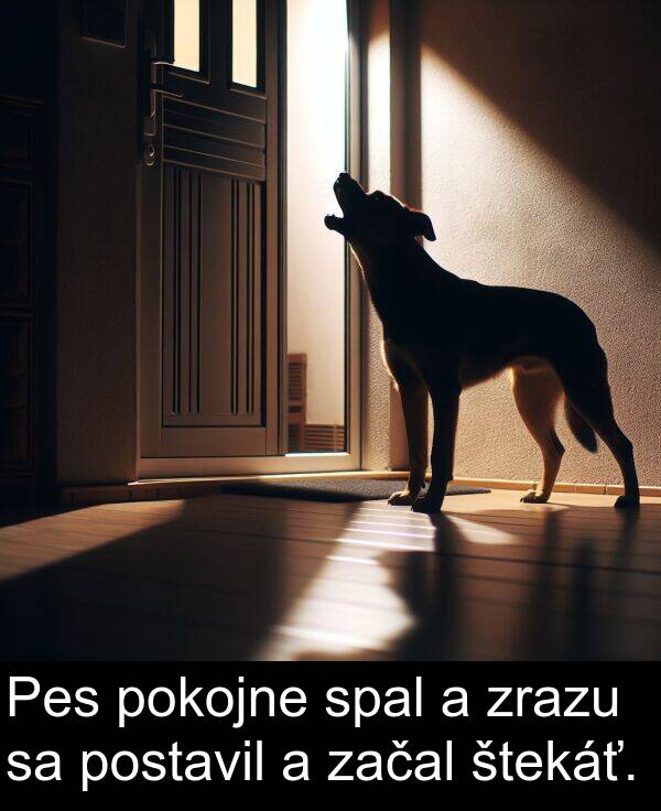 začal: Pes pokojne spal a zrazu sa postavil a začal štekáť.