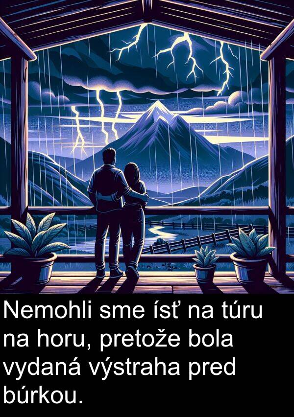ísť: Nemohli sme ísť na túru na horu, pretože bola vydaná výstraha pred búrkou.