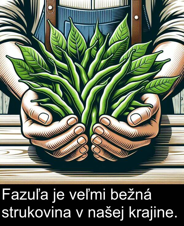 bežná: Fazuľa je veľmi bežná strukovina v našej krajine.