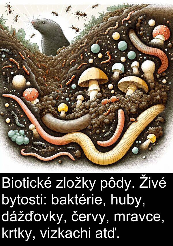 atď: Biotické zložky pôdy. Živé bytosti: baktérie, huby, dážďovky, červy, mravce, krtky, vizkachi atď.