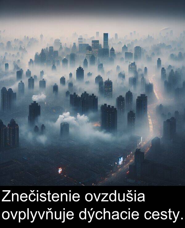 cesty: Znečistenie ovzdušia ovplyvňuje dýchacie cesty.