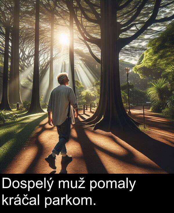 muž: Dospelý muž pomaly kráčal parkom.