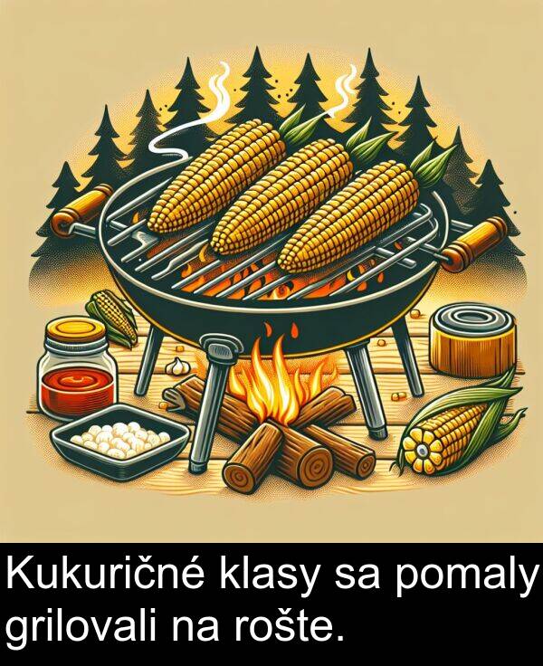 klasy: Kukuričné klasy sa pomaly grilovali na rošte.