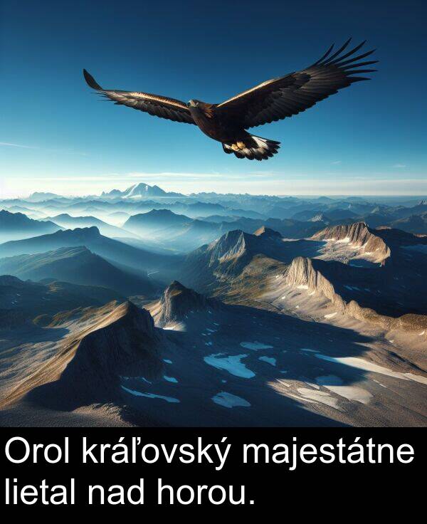 nad: Orol kráľovský majestátne lietal nad horou.
