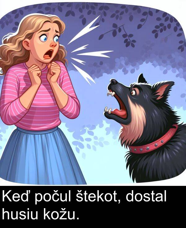 kožu: Keď počul štekot, dostal husiu kožu.