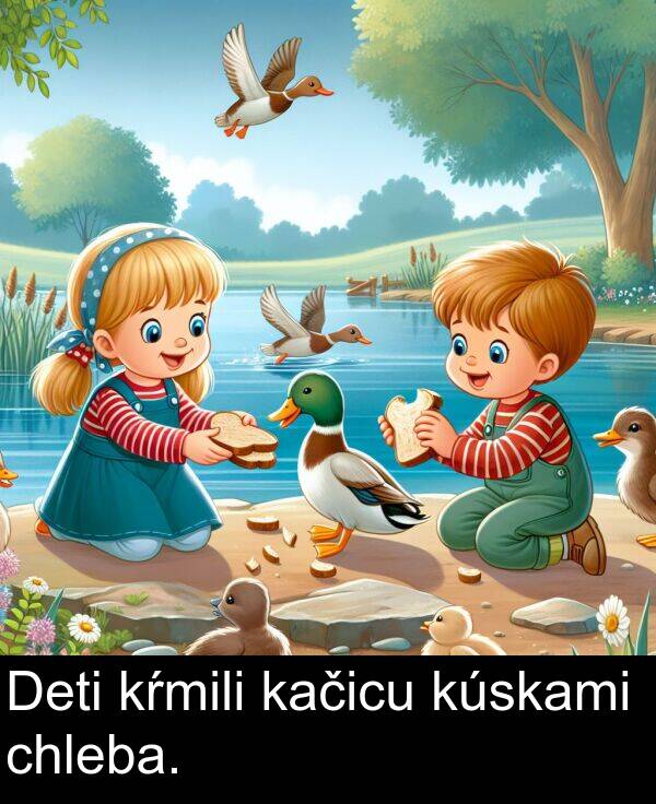 kačicu: Deti kŕmili kačicu kúskami chleba.