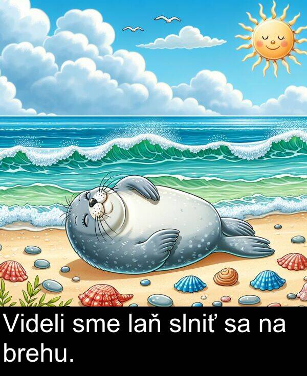 laň: Videli sme laň slniť sa na brehu.