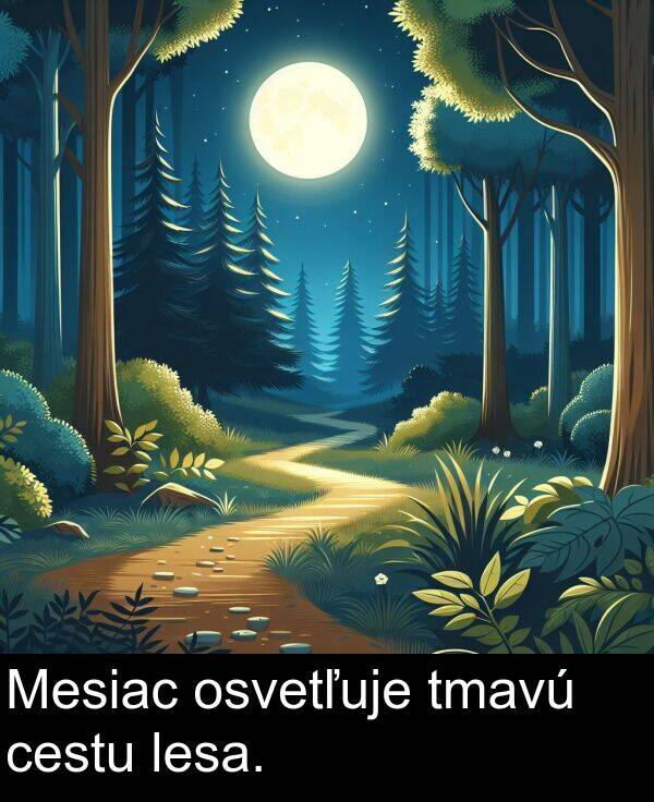 lesa: Mesiac osvetľuje tmavú cestu lesa.