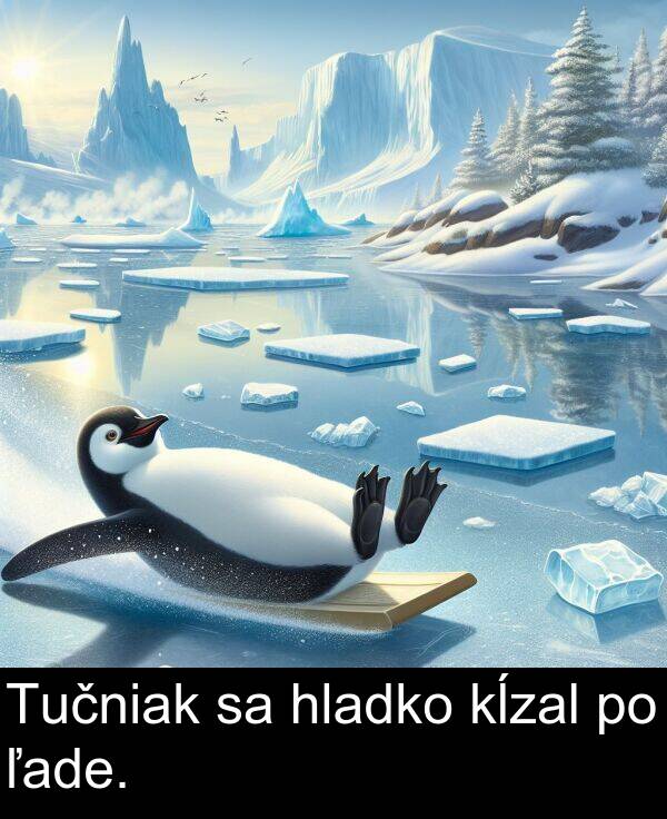 ľade: Tučniak sa hladko kĺzal po ľade.