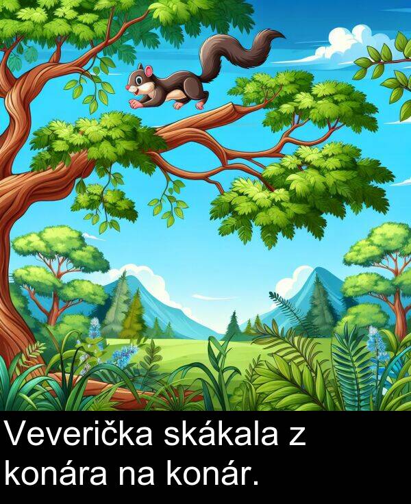 skákala: Veverička skákala z konára na konár.