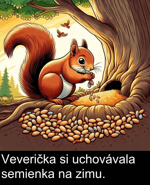 uchovávala: Veverička si uchovávala semienka na zimu.