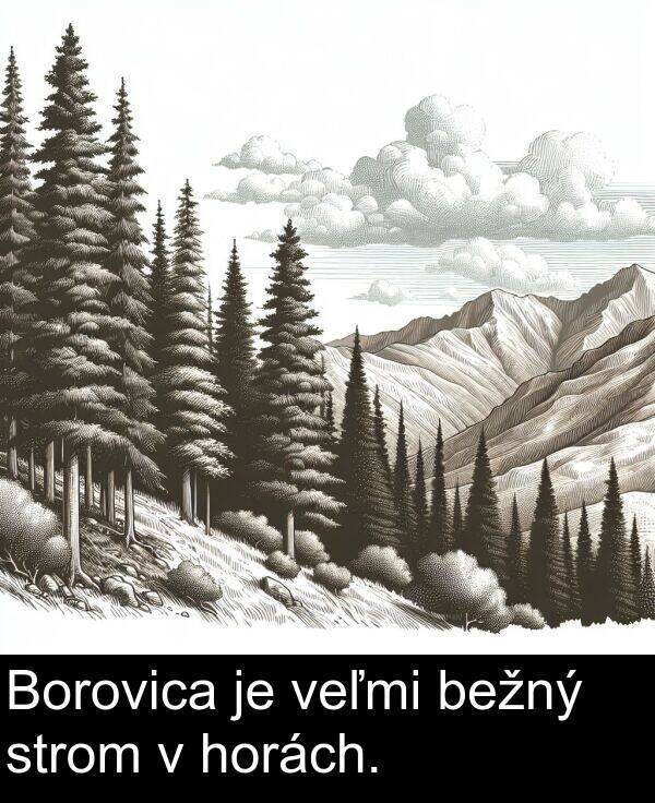 veľmi: Borovica je veľmi bežný strom v horách.