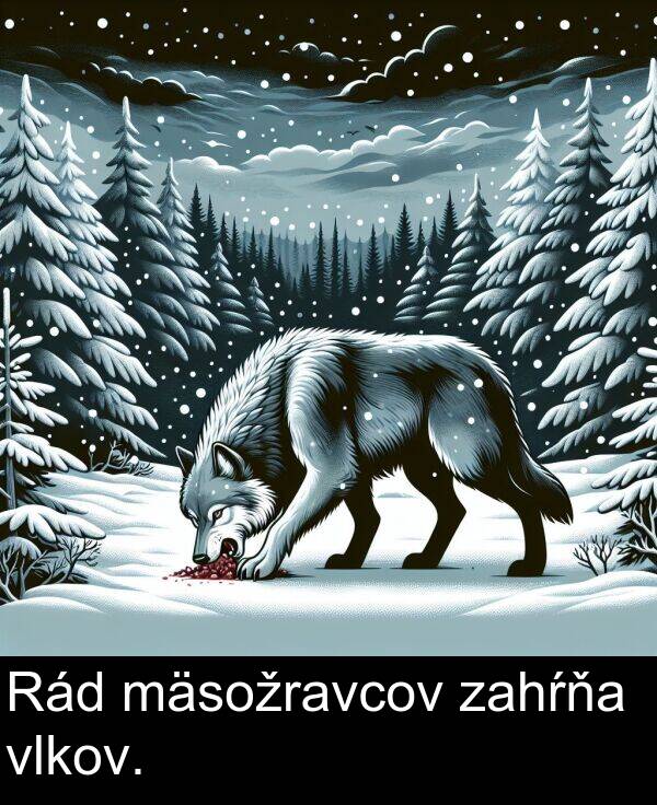 vlkov: Rád mäsožravcov zahŕňa vlkov.