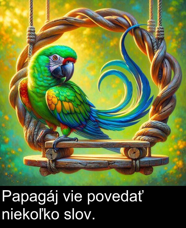 niekoľko: Papagáj vie povedať niekoľko slov.