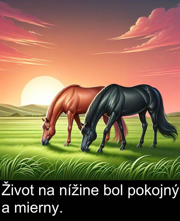nížine: Život na nížine bol pokojný a mierny.