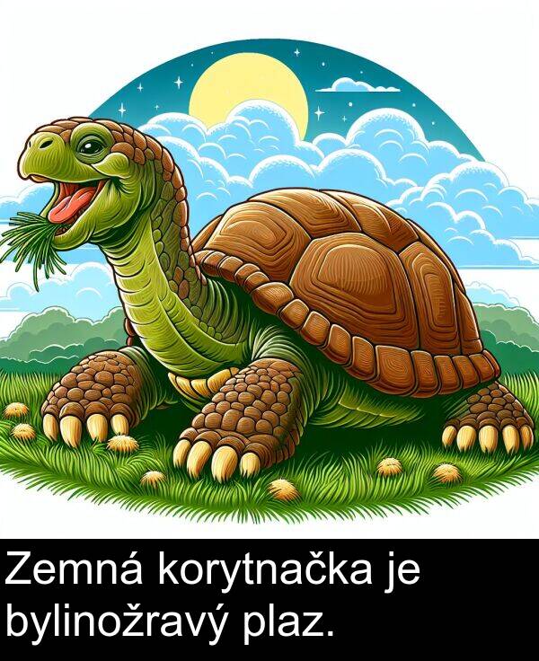 korytnačka: Zemná korytnačka je bylinožravý plaz.