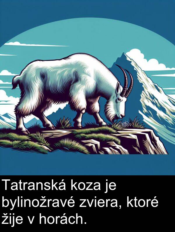 ktoré: Tatranská koza je bylinožravé zviera, ktoré žije v horách.