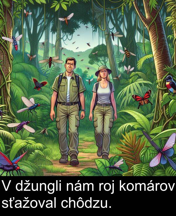 nám: V džungli nám roj komárov sťažoval chôdzu.