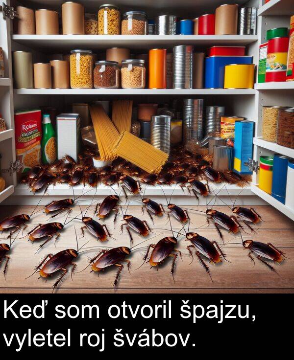 špajzu: Keď som otvoril špajzu, vyletel roj švábov.