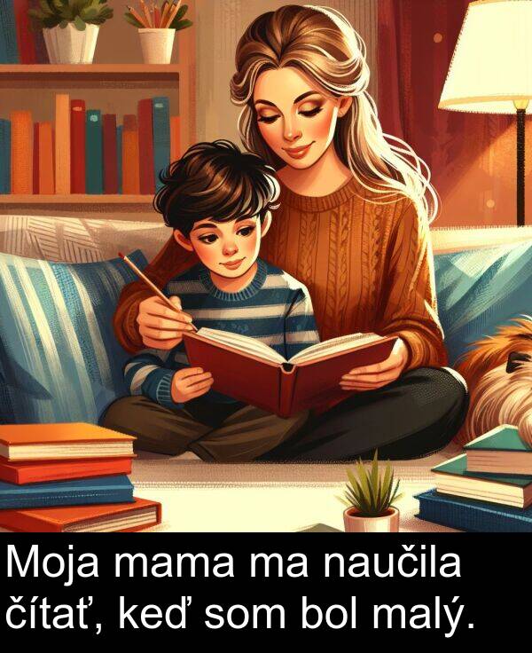 naučila: Moja mama ma naučila čítať, keď som bol malý.