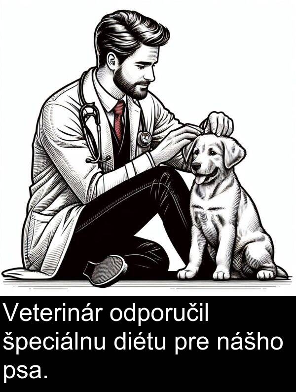 špeciálnu: Veterinár odporučil špeciálnu diétu pre nášho psa.
