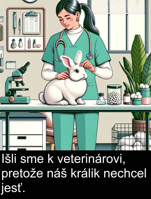 nechcel: Išli sme k veterinárovi, pretože náš králik nechcel jesť.