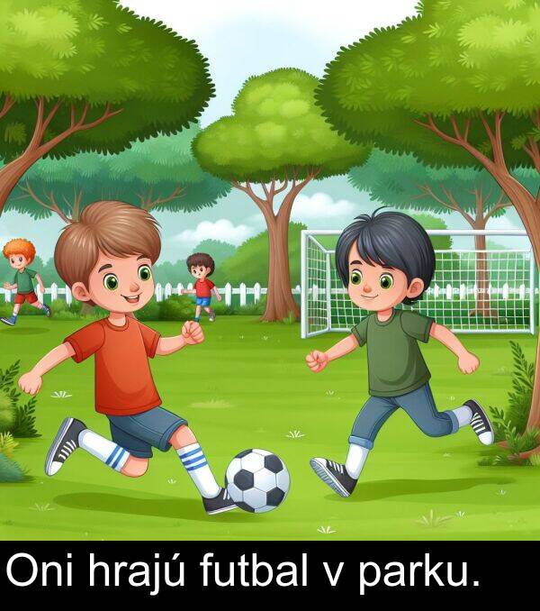 hrajú: Oni hrajú futbal v parku.