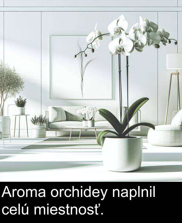 naplnil: Aroma orchidey naplnil celú miestnosť.
