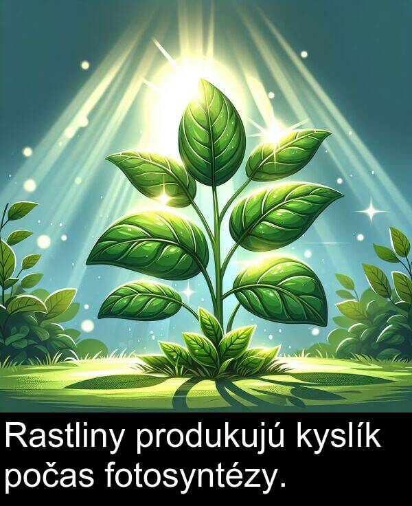 fotosyntézy: Rastliny produkujú kyslík počas fotosyntézy.