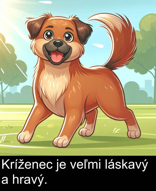 veľmi: Kríženec je veľmi láskavý a hravý.