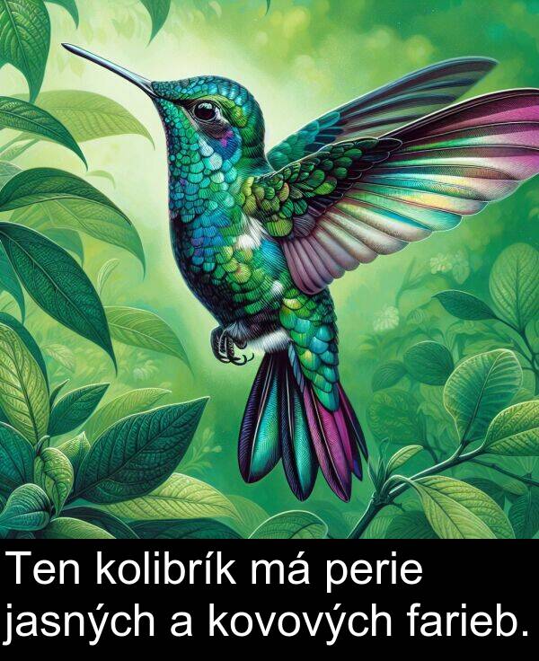 jasných: Ten kolibrík má perie jasných a kovových farieb.
