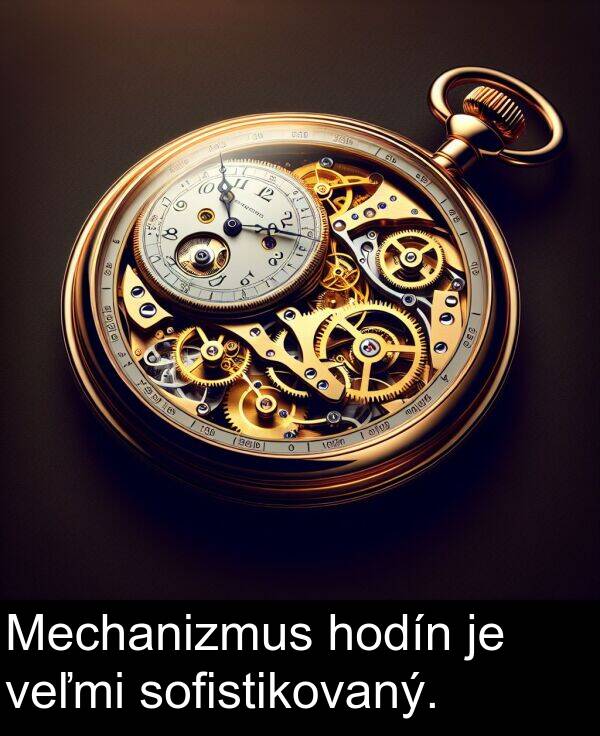 sofistikovaný: Mechanizmus hodín je veľmi sofistikovaný.