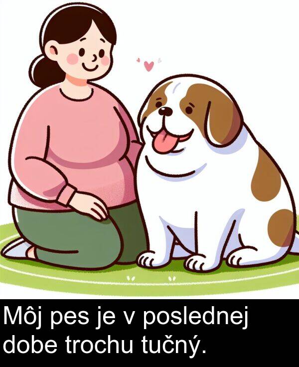 dobe: Môj pes je v poslednej dobe trochu tučný.