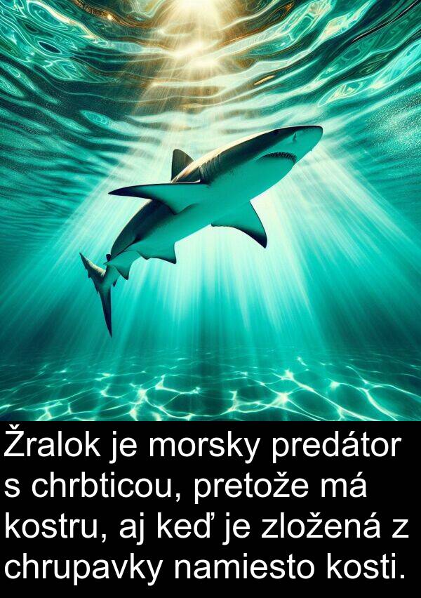 kostru: Žralok je morsky predátor s chrbticou, pretože má kostru, aj keď je zložená z chrupavky namiesto kosti.